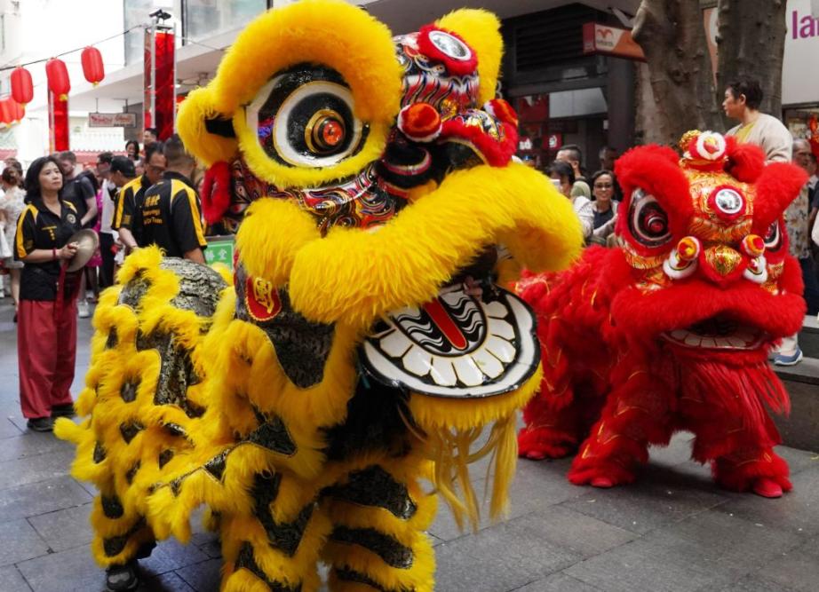 Geopolitics from Below: State-Diaspora Interplay and the Social Origins of Global China, (Jiaqi Liu, Singapore Management University)