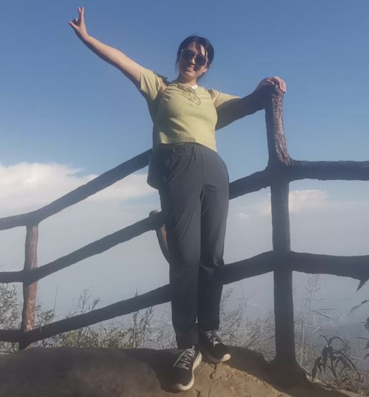 Hanmei Wang