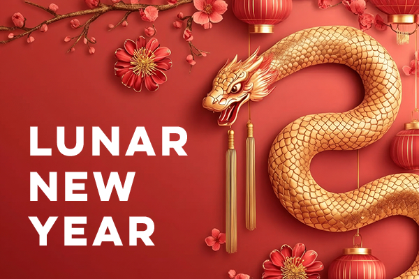 Happy Chinese New Year 2024 the snake zodiac sign with flower, lantern, elements with red and gold color. background. Copy space --ar 2:1 --style raw --v 6.1 Job ID: 8dae077f-6179-4096-87a7-cbec8a2fd135